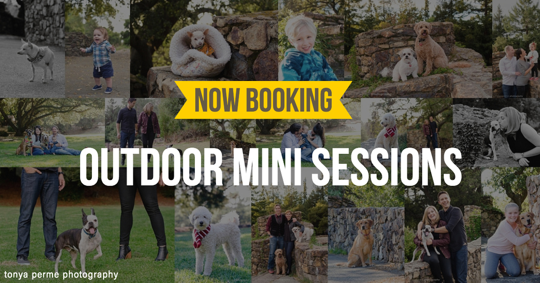 Outdoor Mini Sessions in Oakland for Pets and Family