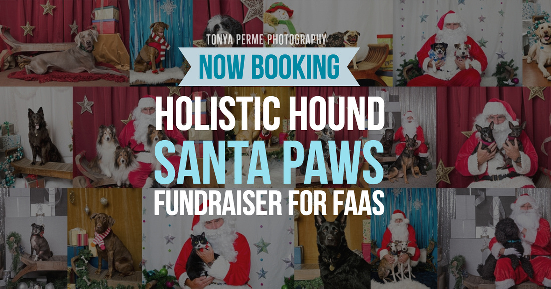 Holistic Hound Santa Paws fundraiser for FAAS