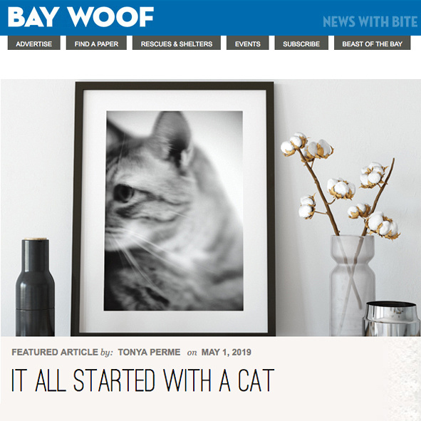 BayWoof Magazine