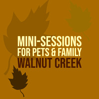 2020Fall_WalnutCreekMini