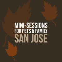 2020Fall_SanJoseMini