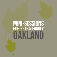 2020Fall_OaklandMini