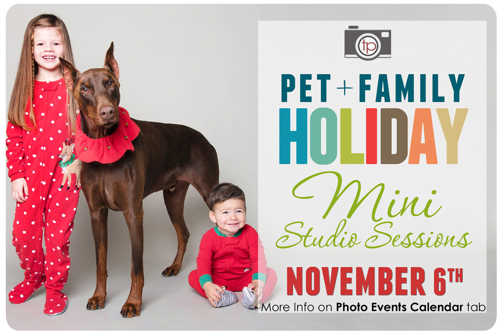 2016 Pet and Family Holiday Mini Studio Sessions  |  November 6th